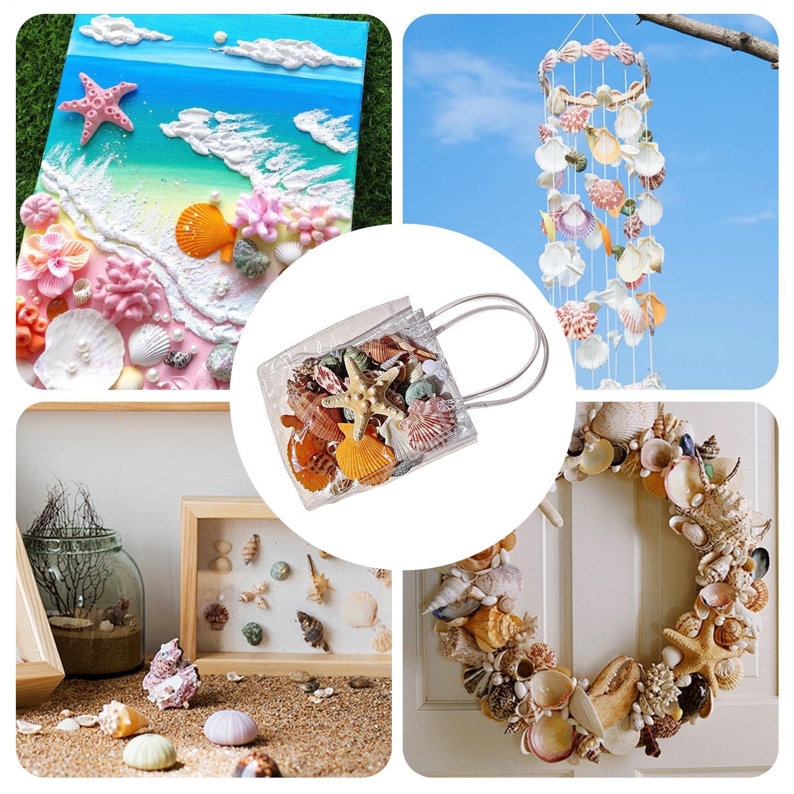 Tiny Seashells For Crafts Natu - Candle Making For Kids review and price