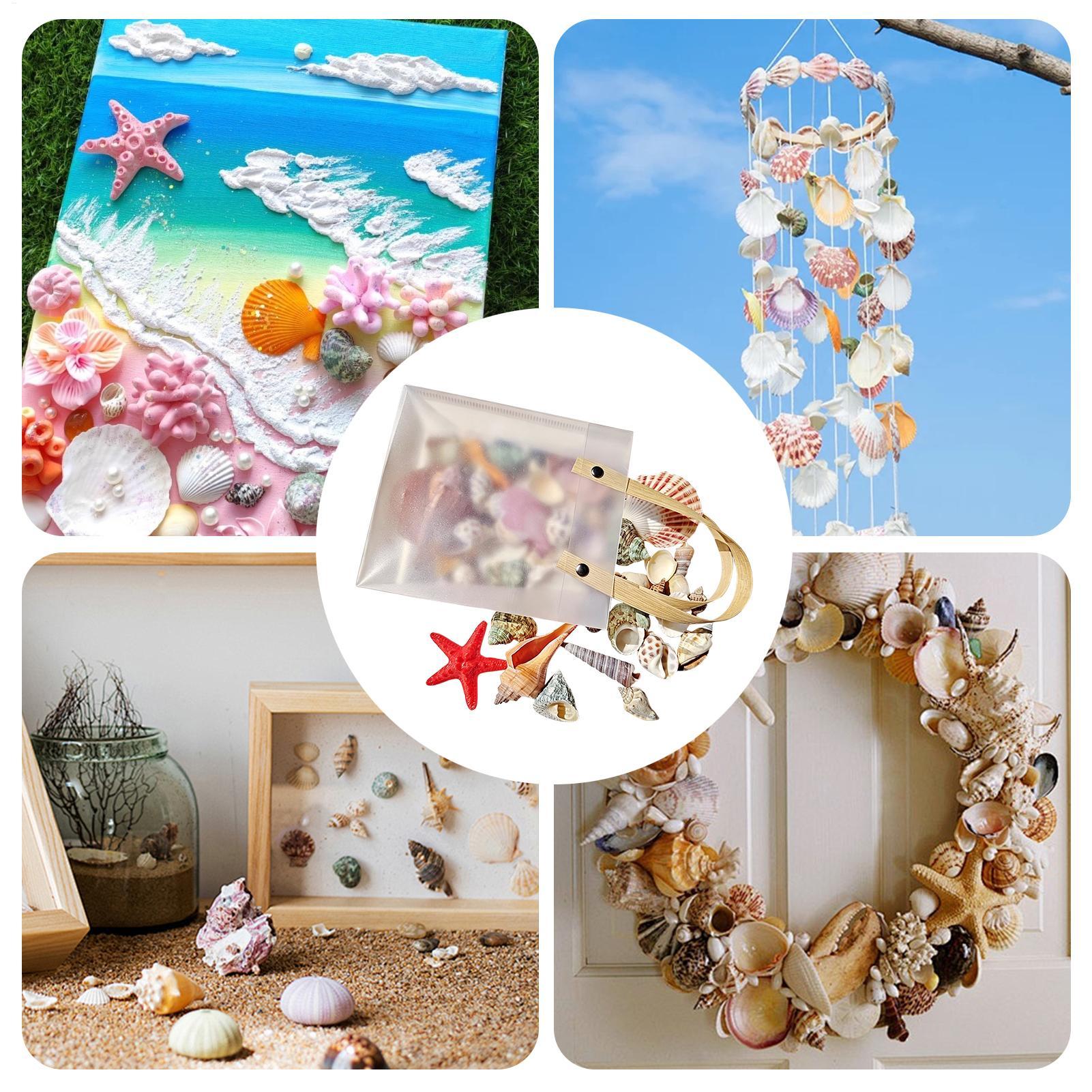 Tiny Seashells For Crafts Natu - Candle Making For Kids review and price