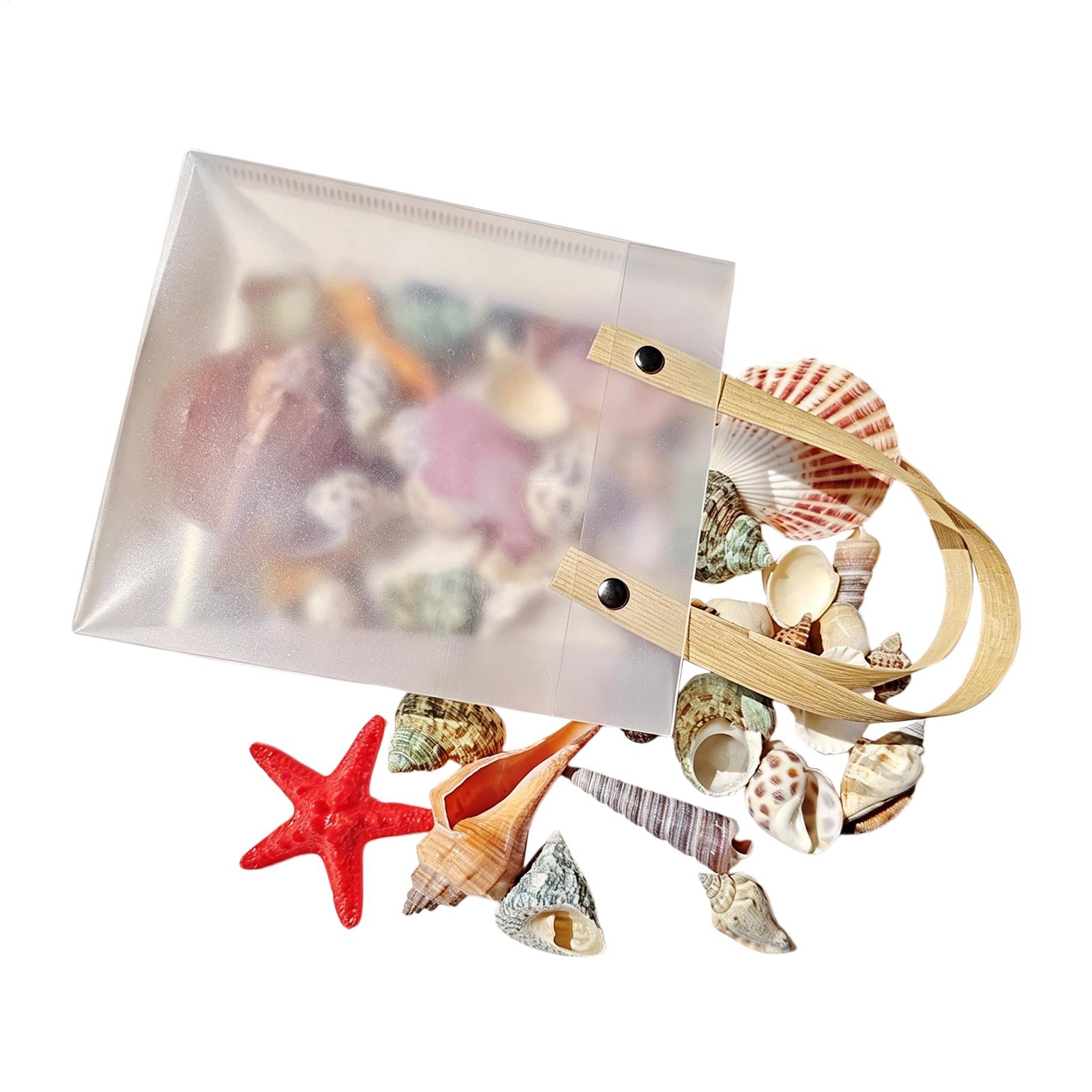 Tiny Seashells for Crafts Natu - Candle Making For Kids review and price