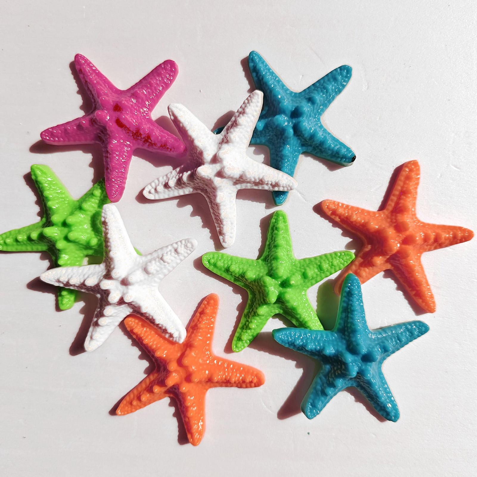 Tiny Seashells Natural Sea The - Candle Making For Kids review and price